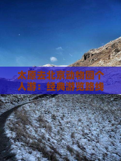 太原去北京动物园个人游：经典游览路线指南