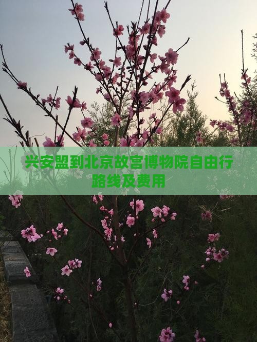 兴安盟到北京故宫博物院自由行路线及费用