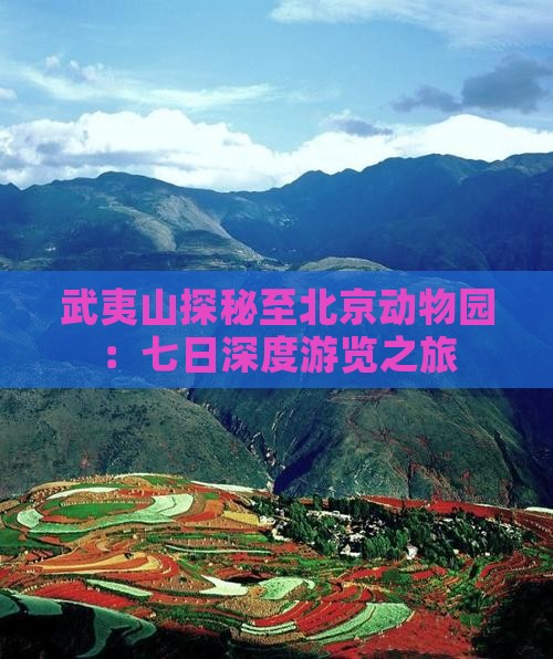 武夷山探秘至北京动物园：七日深度游览之旅
