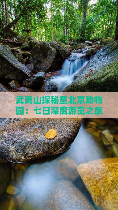 武夷山探秘至北京动物园：七日深度游览之旅