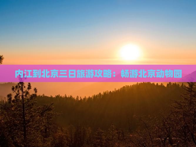 内江到北京三日旅游攻略：畅游北京动物园