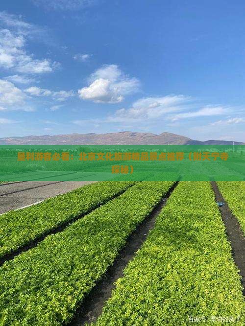 垦利游客必看：北京文化旅游精品景点推荐（附天宁寺探秘）