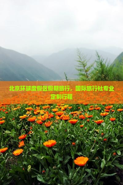 北京环球度假区假期旅行，国际旅行社专业定制行程