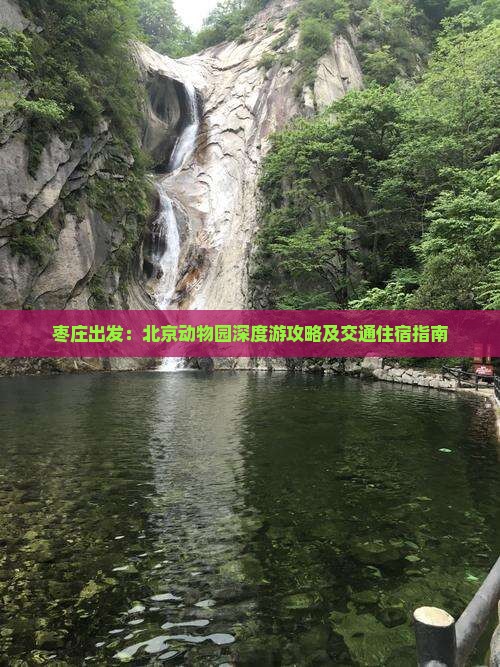 枣庄出发：北京动物园深度游攻略及交通住宿指南