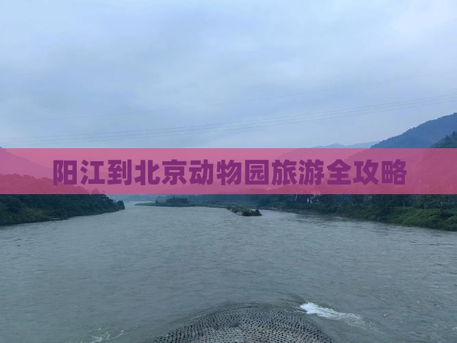 阳江到北京动物园旅游全攻略