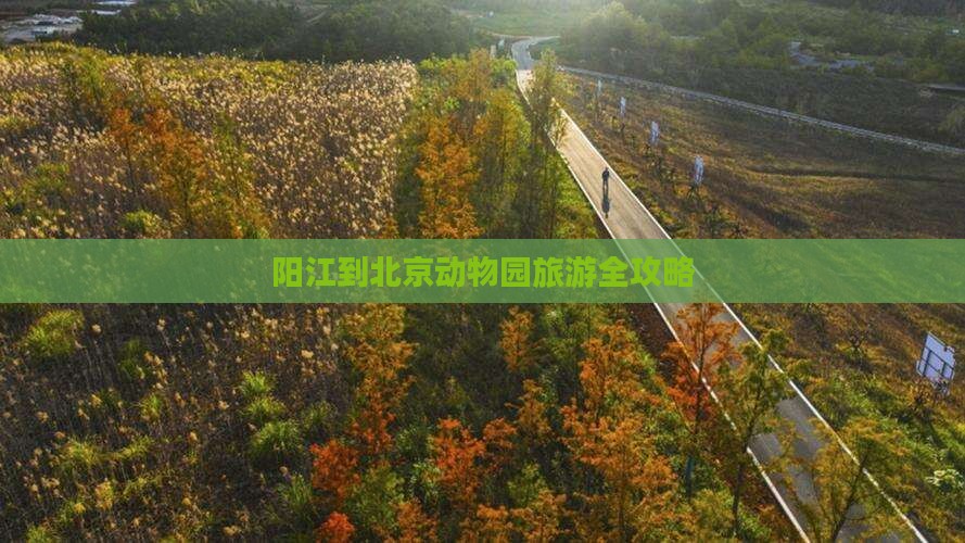 阳江到北京动物园旅游全攻略