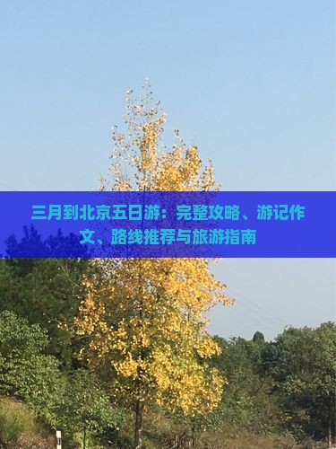 三月到北京五日游：完整攻略、游记作文、路线推荐与旅游指南
