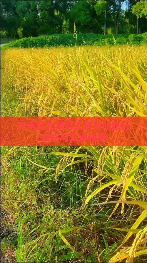 淮南至北京恭王府自助旅行攻略与交通指南
