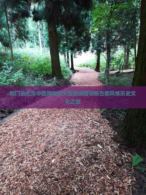 荆门去北京中国博物馆大型旅游团领略古都风情历史文化之旅