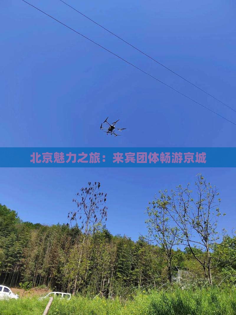 北京魅力之旅：来宾团体畅游京城