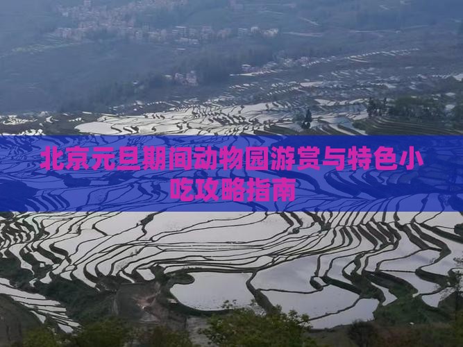 北京元旦期间动物园游赏与特色小吃攻略指南