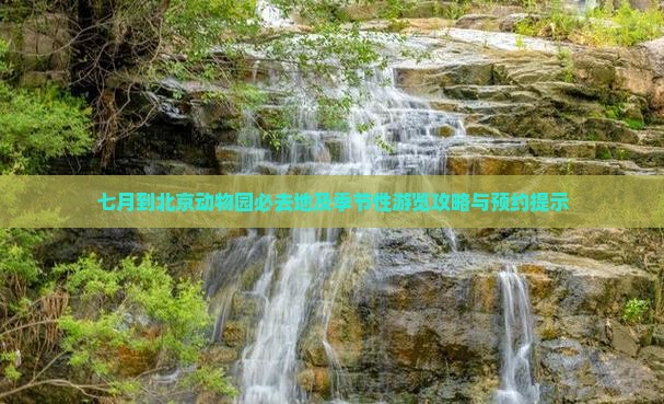 七月到北京动物园必去地及季节性游览攻略与预约提示