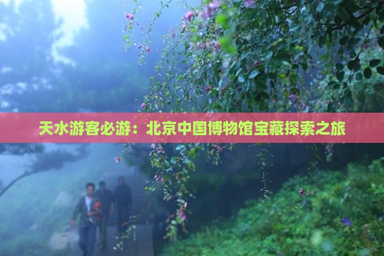 天水游客必游：北京中国博物馆宝藏探索之旅