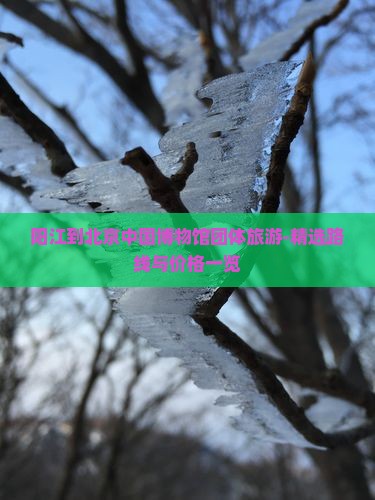 阳江到北京中国博物馆团体旅游-精选路线与价格一览