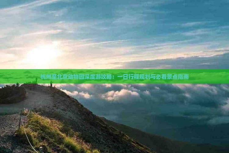 杭州至北京动物园深度游攻略：一日行程规划与必看景点指南