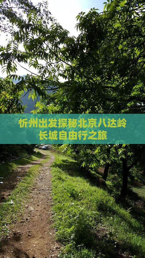 忻州出发探秘北京八达岭长城自由行之旅
