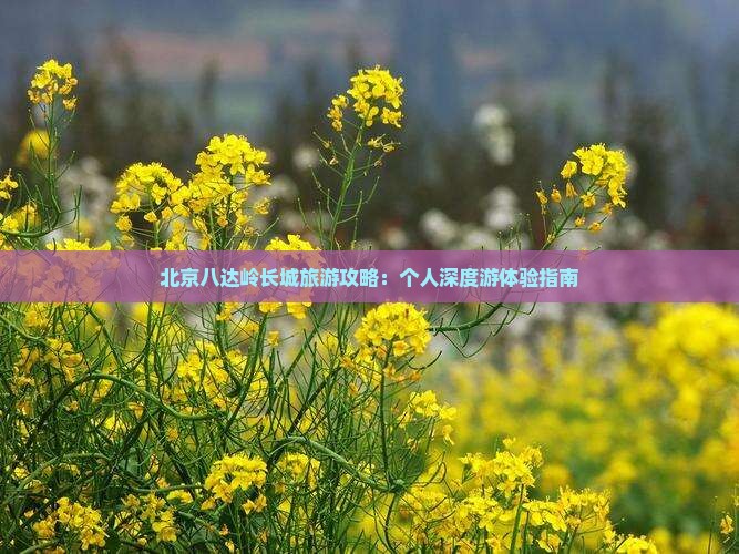 北京八达岭长城旅游攻略：个人深度游体验指南