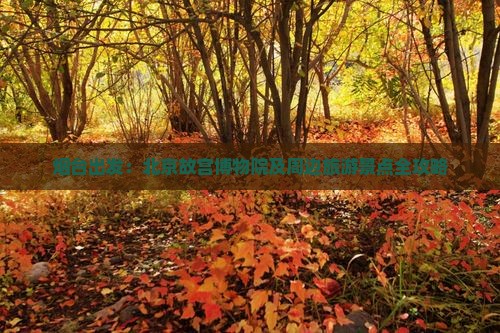 烟台出发：北京故宫博物院及周边旅游景点全攻略