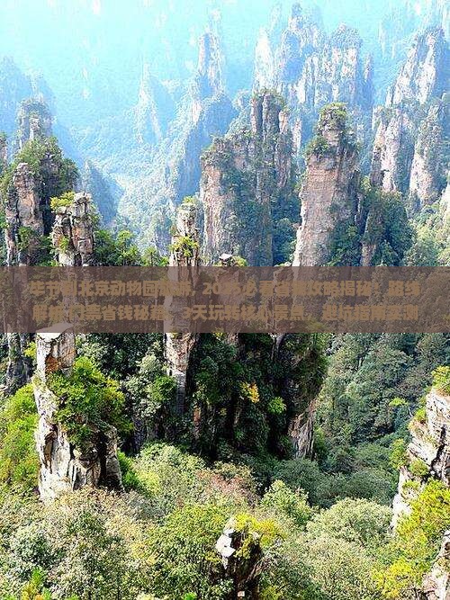 毕节到北京动物园旅游