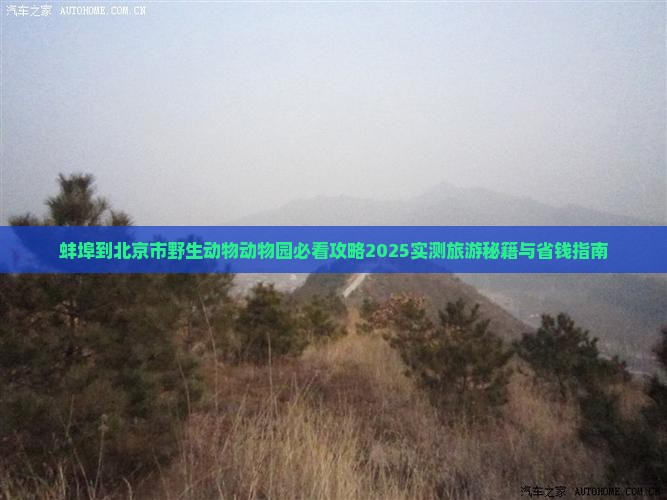 蚌埠到北京动物园自由团