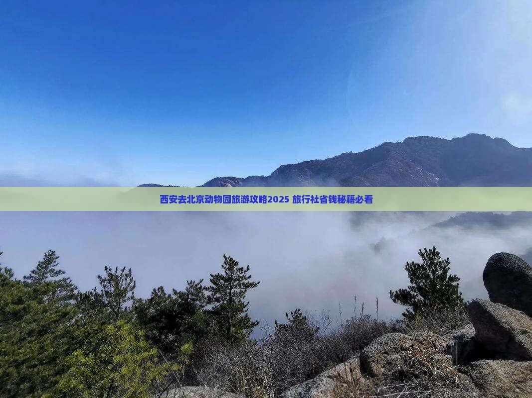 西安去北京动物园旅行社