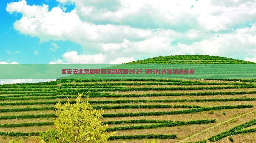 西安去北京动物园旅行社