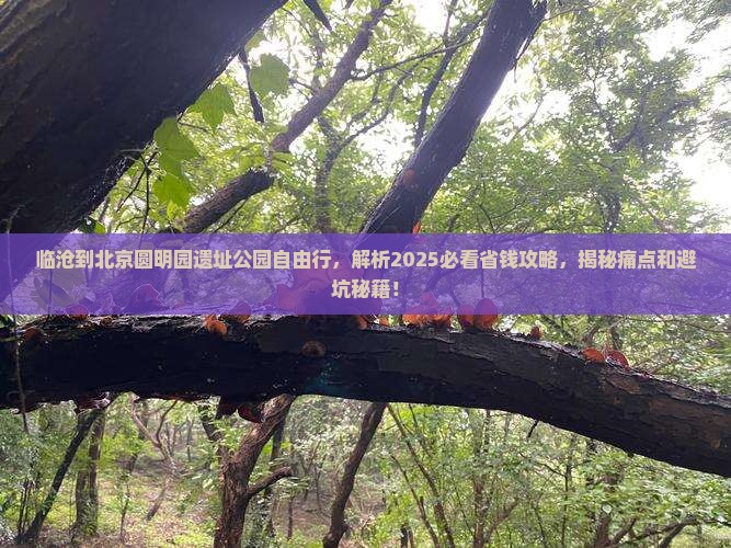 临沧到北京圆明园遗址公园自由行