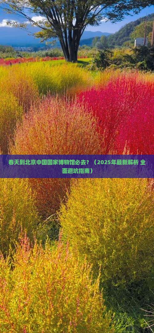 春天到北京中国国家博物馆必去地
