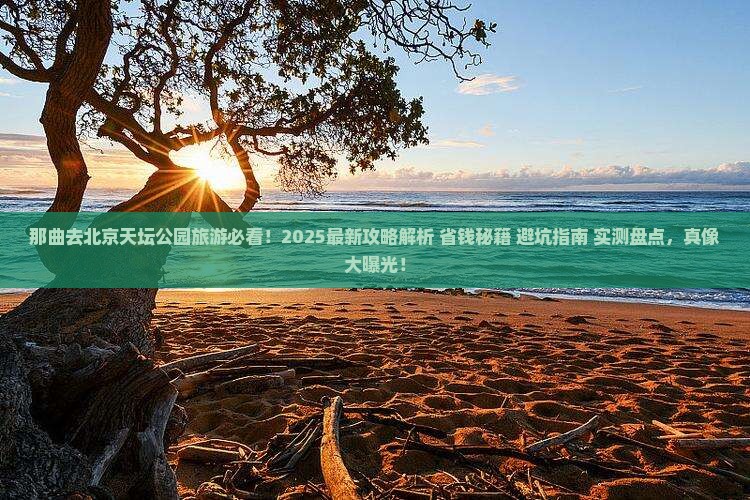 那曲去北京天坛公园旅游