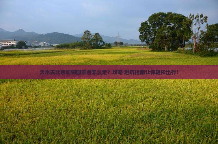 天水去北京动物园景点