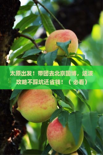 太原到北京中国国家博物馆团体旅游