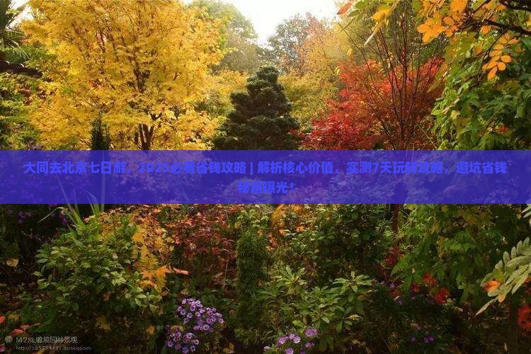 大同去北京七日游