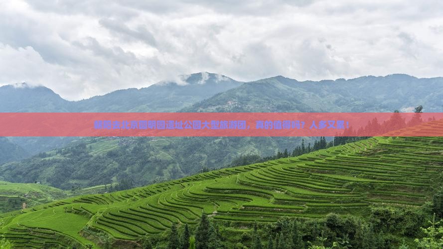 朝阳去北京圆明园遗址公园大型旅游团