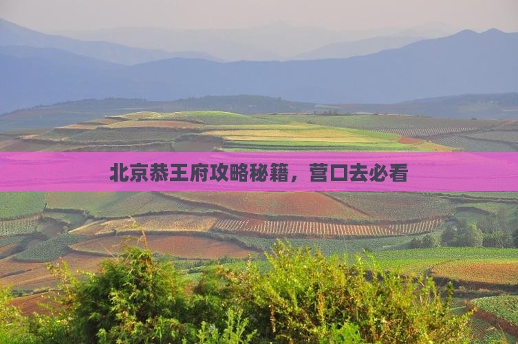 营口去北京恭王府攻略