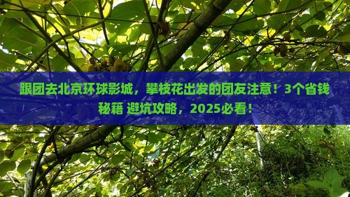 攀枝花去北京环球度假区大型旅游团