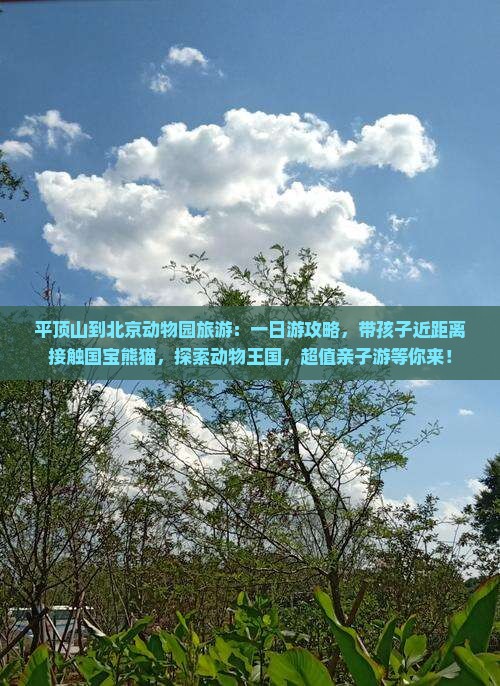 平顶山到北京动物园旅游