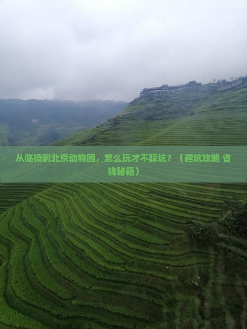 临猗到北京动物园哪里玩