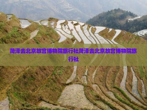 菏泽去北京故宫博物院旅行社