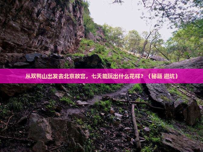 双鸭山去北京故宫博物院七日游