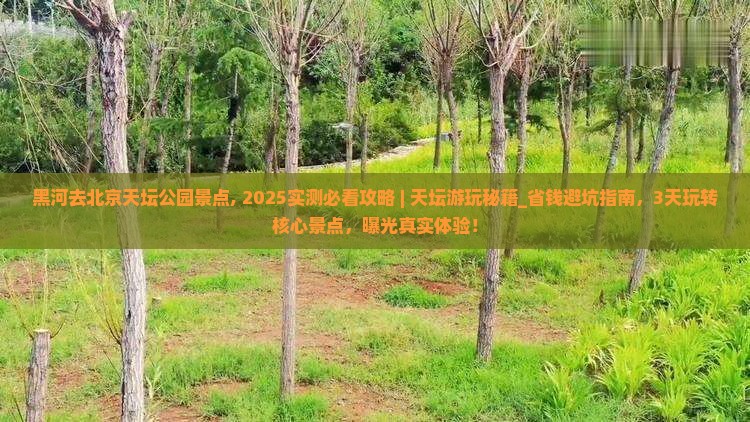 黑河去北京天坛公园景点