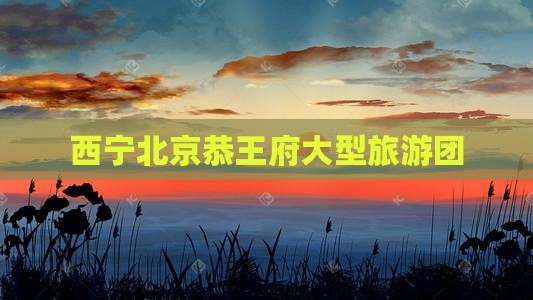 西宁到北京恭王府大型旅游团
