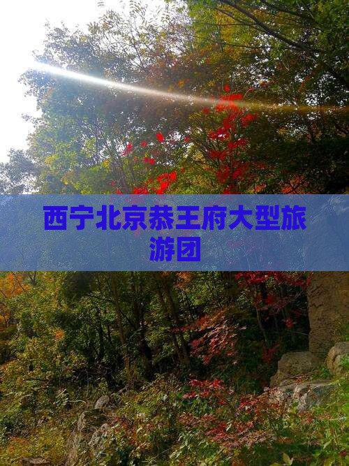 西宁到北京恭王府大型旅游团