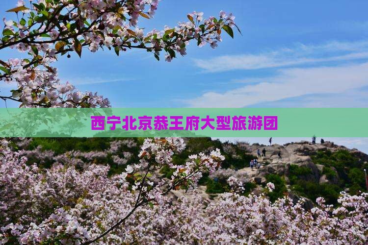 西宁到北京恭王府大型旅游团