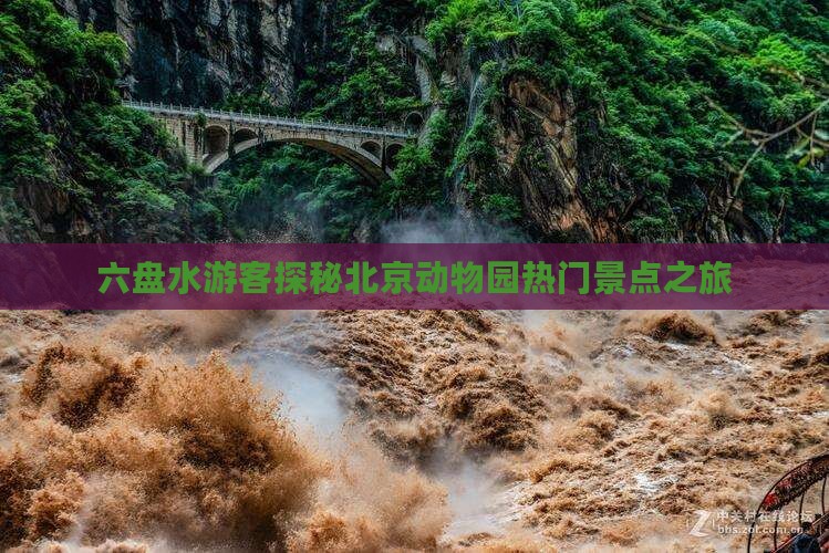 六盘水游客探秘北京动物园热门景点之旅