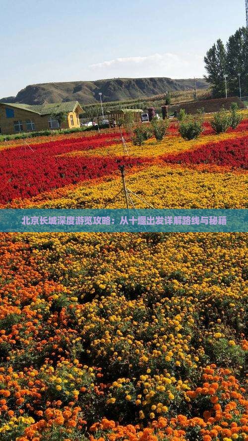 北京长城深度游览攻略：从十堰出发详解路线与秘籍