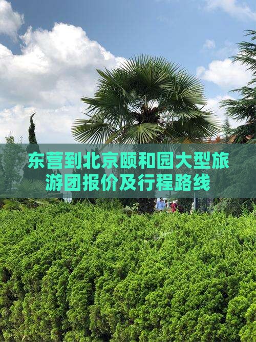 东营到北京颐和园大型旅游团报价及行程路线