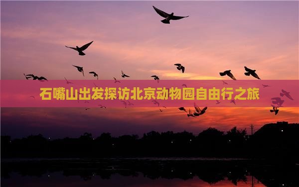 石嘴山出发探访北京动物园自由行之旅