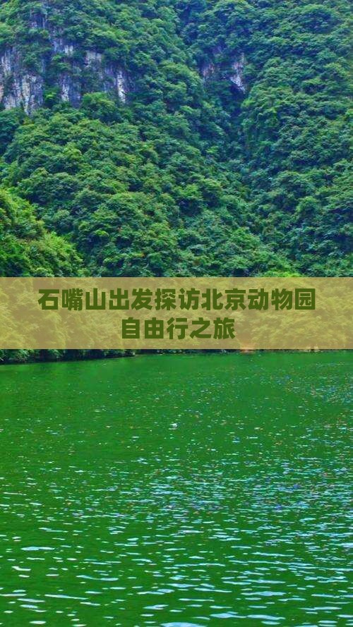 石嘴山出发探访北京动物园自由行之旅