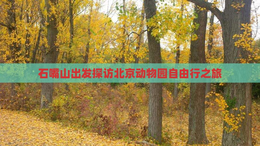 石嘴山出发探访北京动物园自由行之旅