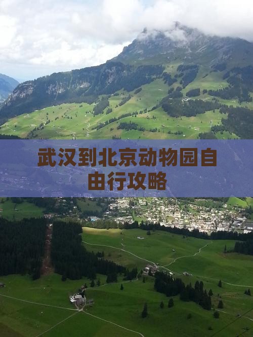 武汉到北京动物园自由行攻略